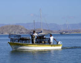Fishermen return to the small fishing village of Bahia de Los Angeles.  Bill Bell Photograph