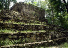 Muyil  (Chunyaxche) Quintana Roo Mexico Mayan Ruins Photogaphy by Bill Bell