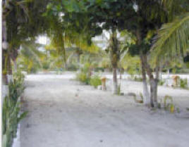 Paa Mul RV Park and Cabanas Playa Del Carmen Quintana Roo Mexico