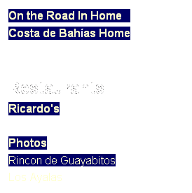 Text Box: On the Road In Home   
Costa de Bahas Home
 
 
Restaurants
Ricardo's

Photos
Rincon de Guayabitos 
Los Ayalas
 
