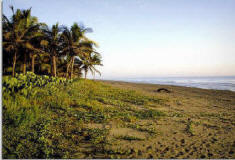Playa Paraisio