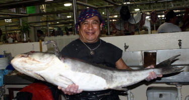 Campeche Photography Bill Bell