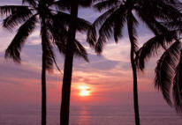 Puerto Vallarta Jalisco Mexico Photography by Bill Bell