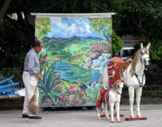Cuernavaca Mexico Photograph by Bill Bell