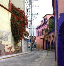 Cuernavaca Mexico Photograph by Bill Bell