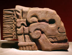Museo Nacional de Antropolog�a Mexico City Photograph by Bill and Dot Bell