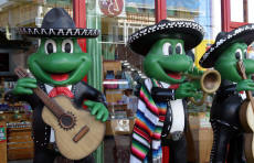 Mazatlan Sinaloa Mexico Photography by Bill Bell
