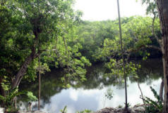 Xelha Mayan Ruins Photography by Bill Bell