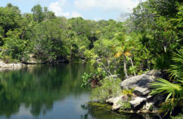 Xelha Photography by Bill Bell