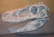 Dinosaurs, Hoodoos and Badlands The Royal Tyrrell Museum, and Alberta's Badlands, Canada Photgraphy by Bill Bell