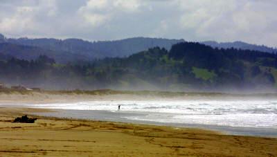 Oregon Coast Bill Bell Photography