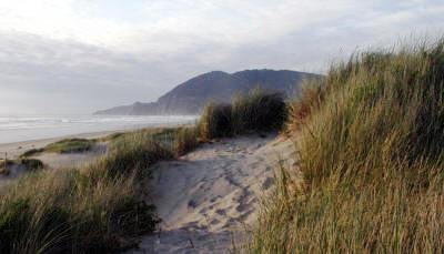 Oregon Coast Bill Bell Photography
