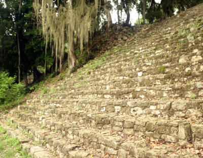 Chacchoben  Quintana Roo Mexico Mayan Ruins Bill Bell Photography