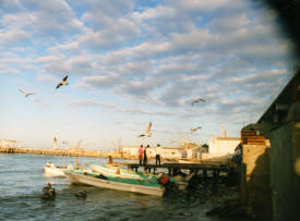 Ciudad del Carmen Campeche Mexico Photography Photography by Bill Bell 