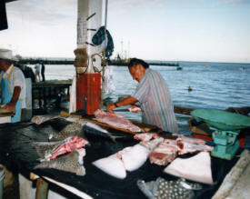 cutting up fish Ciudad del Carmen Campeche Mexico Photography Photography by Bill Bell 