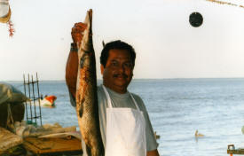 Ciudad del Carmen Campeche Mexico Photography Photography by Bill Bell 