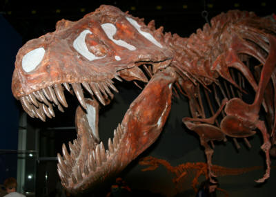 Dinosaurs, Hoodoos and Badlands The Royal Tyrrell Museum, and Alberta's Badlands, Canada Photgraphy by Bill Bell
