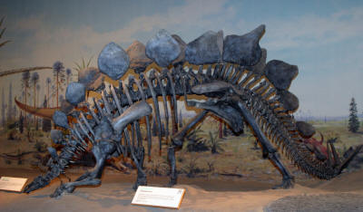 Dinosaurs, Hoodoos and Badlands The Royal Tyrrell Museum, and Alberta's Badlands, Canada Photgraphy by Bill Bell