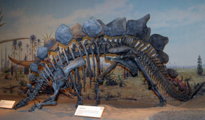 Dinosaurs, Hoodoos and Badlands The Royal Tyrrell Museum, and Alberta's Badlands, Canada Photgraphy by Bill Bell