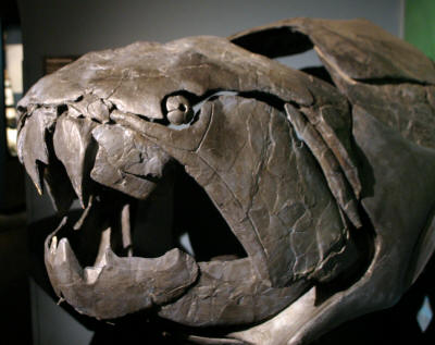 Dinosaurs, Hoodoos and Badlands The Royal Tyrrell Museum, and Alberta's Badlands, Canada Photgraphy by Bill Bell