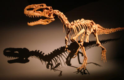 Dinosaurs, Hoodoos and Badlands The Royal Tyrrell Museum, and Alberta's Badlands, Canada Photgraphy by Bill Bell