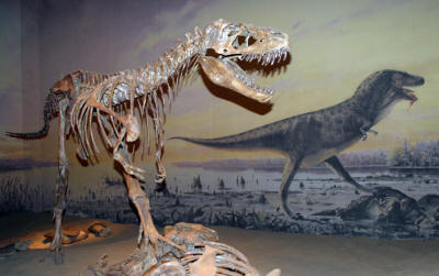 Dinosaurs, Hoodoos and Badlands The Royal Tyrrell Museum, and Alberta's Badlands, Canada Photgraphy by Bill Bell
