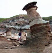 Dinosaurs, Hoodoos and Badlands The Royal Tyrrell Museum, and Alberta's Badlands, Canada Photgraphy by Bill Bell