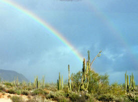 Rainbow on the Baja desert Baja California Mexico Photography  Photography by Bill Bell