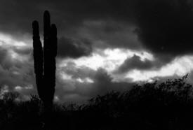 Dark skies over the Baja desert Baja California Mexico Photography  Photography by Bill Bell