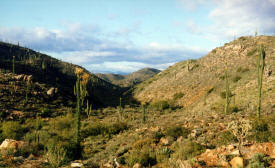 desert Mountains Baja California Mexico Photography  Photography by Bill Bell