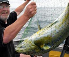 Bill Bell nets the Dorado