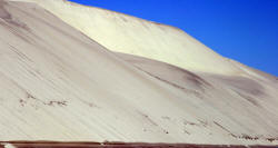 California Grey Whales Scammon's Lagoon Baja California Mexico Photography Bill and Dot Bell Photographs