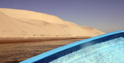 California Grey Whales Scammon's Lagoon Baja California Mexico Photography Bill and Dot Bell Photographs