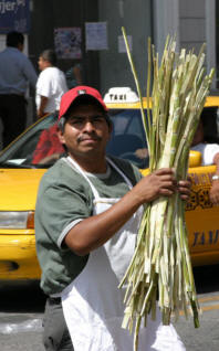 Tepic Nayarit Mexico Photography by Bill Bell 