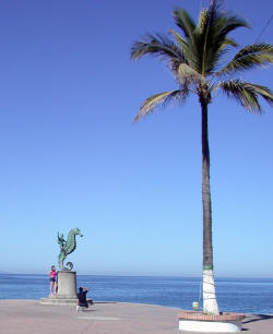 Puerto Vallarta Jalisco Mexico Photography by Bill Bell