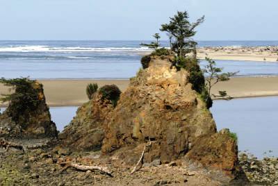 Oregon Coast Bill Bell Photography