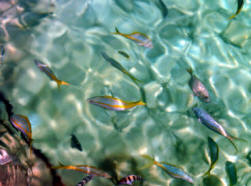 Xelha Photography by Bill Bell