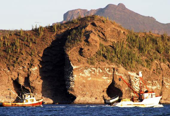 Shrimp boats head home to Guaymas along the rugged cacti studded coast