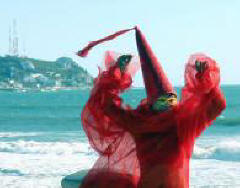 Mazatlan Mardi Gras is a great time in a great location...Bill Bell Photo