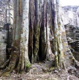 Becan Campeche Mexico Mayan Ruins Photography by Bill and Dorothy Bell