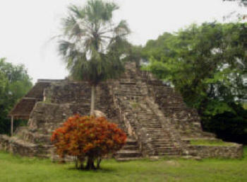 Chacchoben  Quintana Roo Mexico Mayan Ruins Bill Bell Photography