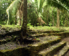 Chacchoben  Quintana Roo Mexico Mayan Ruins Bill Bell Photography