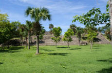El Tigre  Mayan Archeological Site Campeche Mexico Photographs by Bill Bell