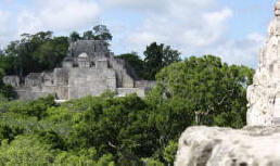 Calakmul by Bill Bell