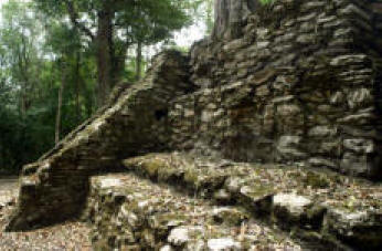 Muyil  (Chunyaxche) Quintana Roo Mexico Mayan Ruins Photogaphy by Bill Bell