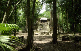 Muyil  (Chunyaxche) Quintana Roo Mexico Mayan Ruins Photogaphy by Bill Bell