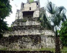 Muyil  (Chunyaxche) Quintana Roo Mexico Mayan Ruins Photogaphy by Bill Bell