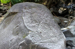 Valley of the Throat cutters, on the road to Alta vista, Nayarit, Bill Bell Photographs