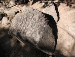 Valley of the Throat cutters, on the road to Alta vista, Nayarit, Bill Bell Photographs