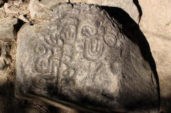 Valley of the Throat cutters, on the road to Alta vista, Nayarit, Bill Bell Photographs